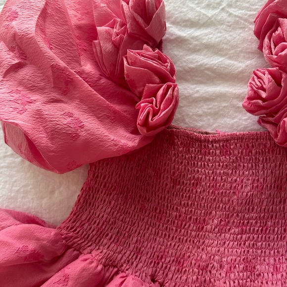 Sister Jane Dream Pink Dress with Roses Small & XS NWT - Picture 6 of 9